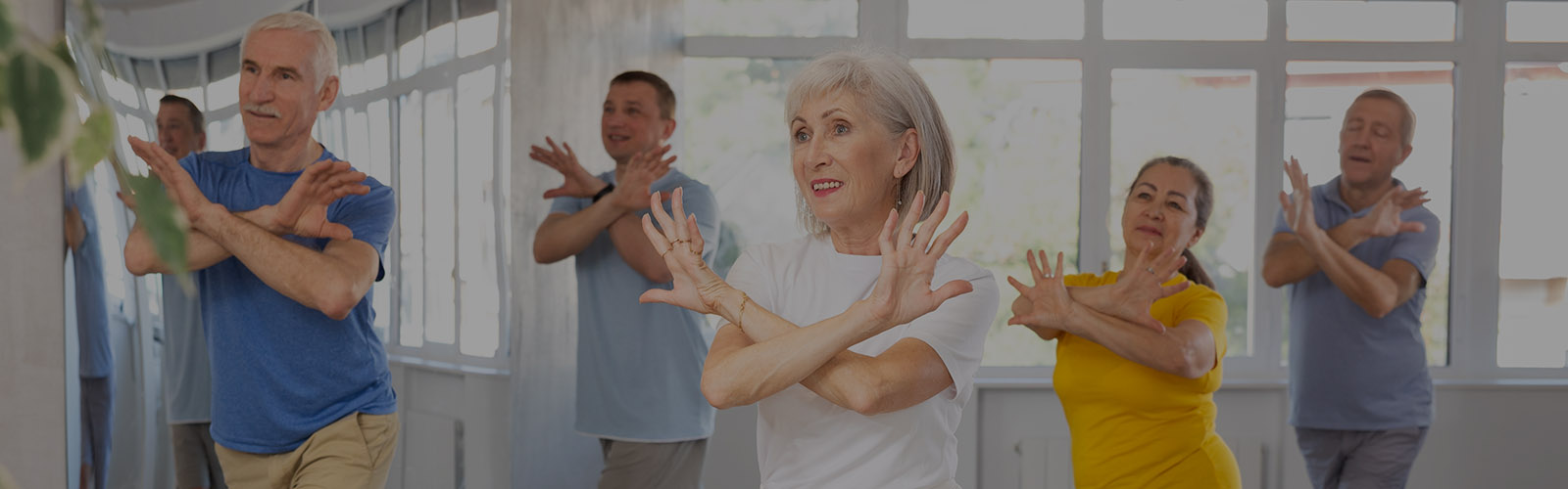 <h1>Active IQ Level 2 NVQ Diploma in Instructing Exercise and Fitness (Exercise to Music)</h1>
