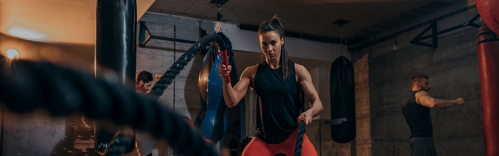 Active IQ launches six specialist fitness qualifications
